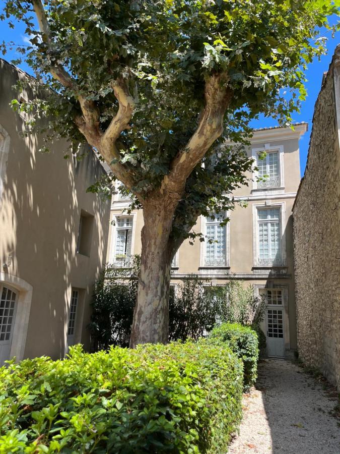 Superbe Appartement De Charme A 10Mn De Saint-Remy 诺沃 外观 照片