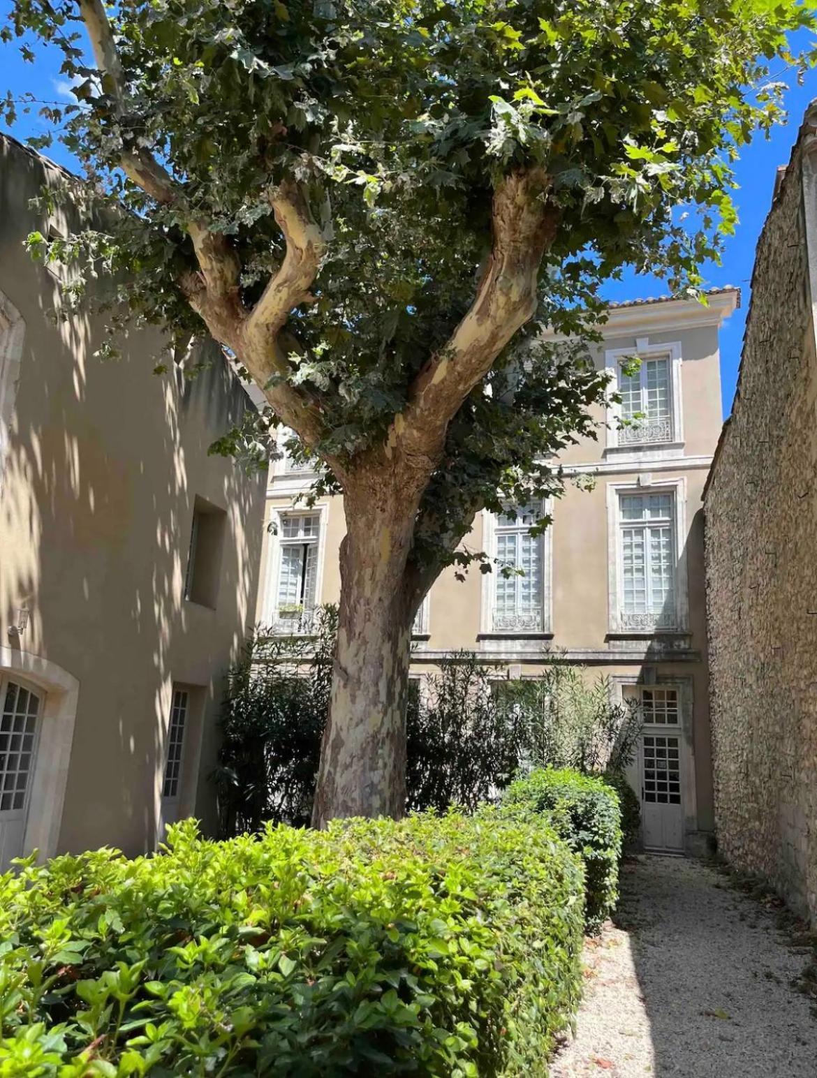 Superbe Appartement De Charme A 10Mn De Saint-Remy 诺沃 外观 照片